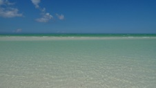 Enlarge photo 78