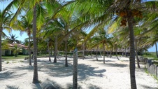 Enlarge photo 81