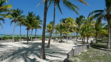 Enlarge photo 82
