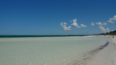 Enlarge photo 84