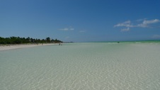 Enlarge photo 87