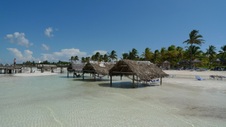 Enlarge photo 92