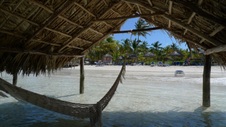 Enlarge photo 94