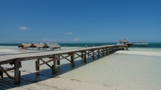 Enlarge photo 106