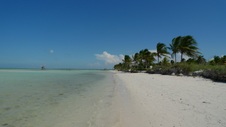 Enlarge photo 111
