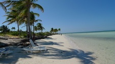 Enlarge photo 112