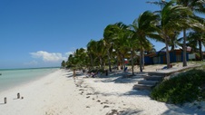 Enlarge photo 114