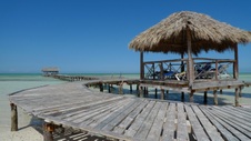 Enlarge photo 116