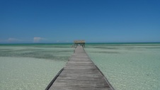 Enlarge photo 118