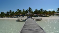 Enlarge photo 120