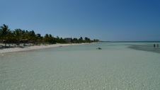 Enlarge photo 122