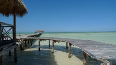 Enlarge photo 124