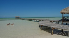 Enlarge photo 126