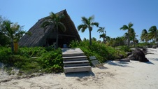 Enlarge photo 128