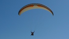 Enlarge photo 132