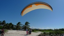 Enlarge photo 135