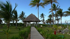 Enlarge photo 136