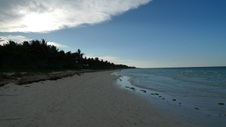 Enlarge photo 142