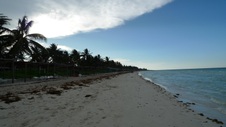 Enlarge photo 148