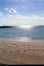 Enlarge photo 79