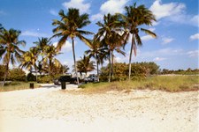 Enlarge photo 74