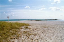 Enlarge photo 73