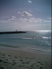 Enlarge photo 69