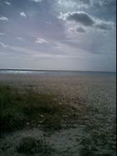 Enlarge photo 77