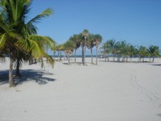 Enlarge photo 108