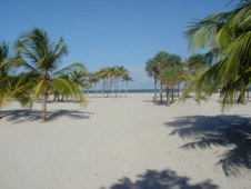 Enlarge photo 109