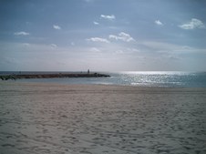 Enlarge photo 72
