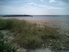 Enlarge photo 76