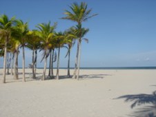 Enlarge photo 106