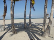 Enlarge photo 105