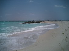 Enlarge photo 25