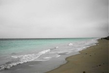 Enlarge photo 97