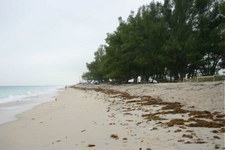 Enlarge photo 67