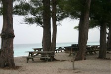 Enlarge photo 63