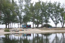 Enlarge photo 61