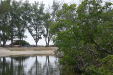Enlarge photo 62