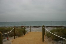 Enlarge photo 84