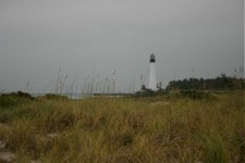 Enlarge photo 85