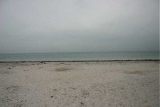 Enlarge photo 86