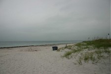 Enlarge photo 87