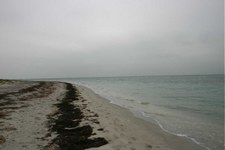 Enlarge photo 91