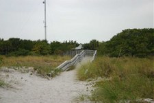 Enlarge photo 92