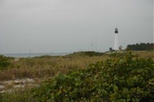 Enlarge photo 96