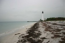 Enlarge photo 81