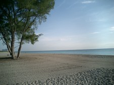 Enlarge photo 54