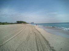 Enlarge photo 57